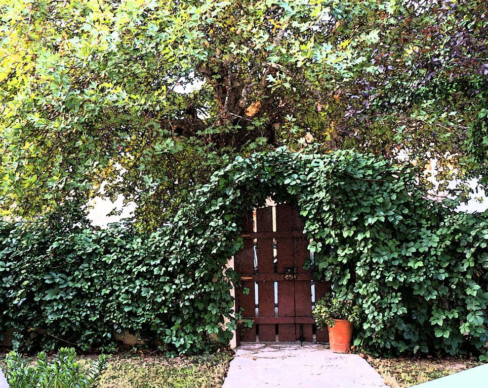 Villa The Platanus Tree Káto Vaszilikí Kültér fotó