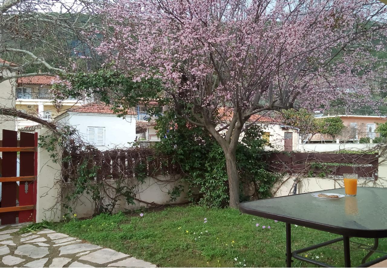 Villa The Platanus Tree Káto Vaszilikí Kültér fotó